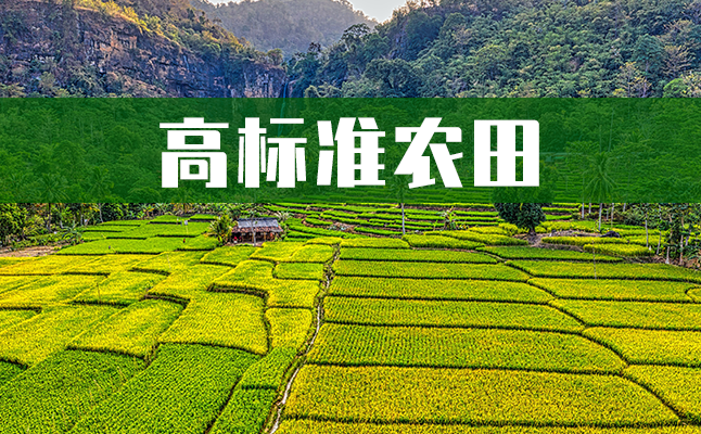 高標(biāo)準(zhǔn)農(nóng)田.png