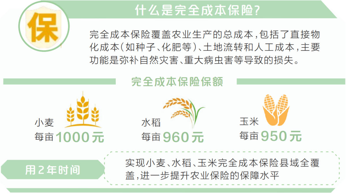 減輕種糧負(fù)擔(dān)“旱澇保收”不難 我省為小麥水稻玉米上“全險(xiǎn)”